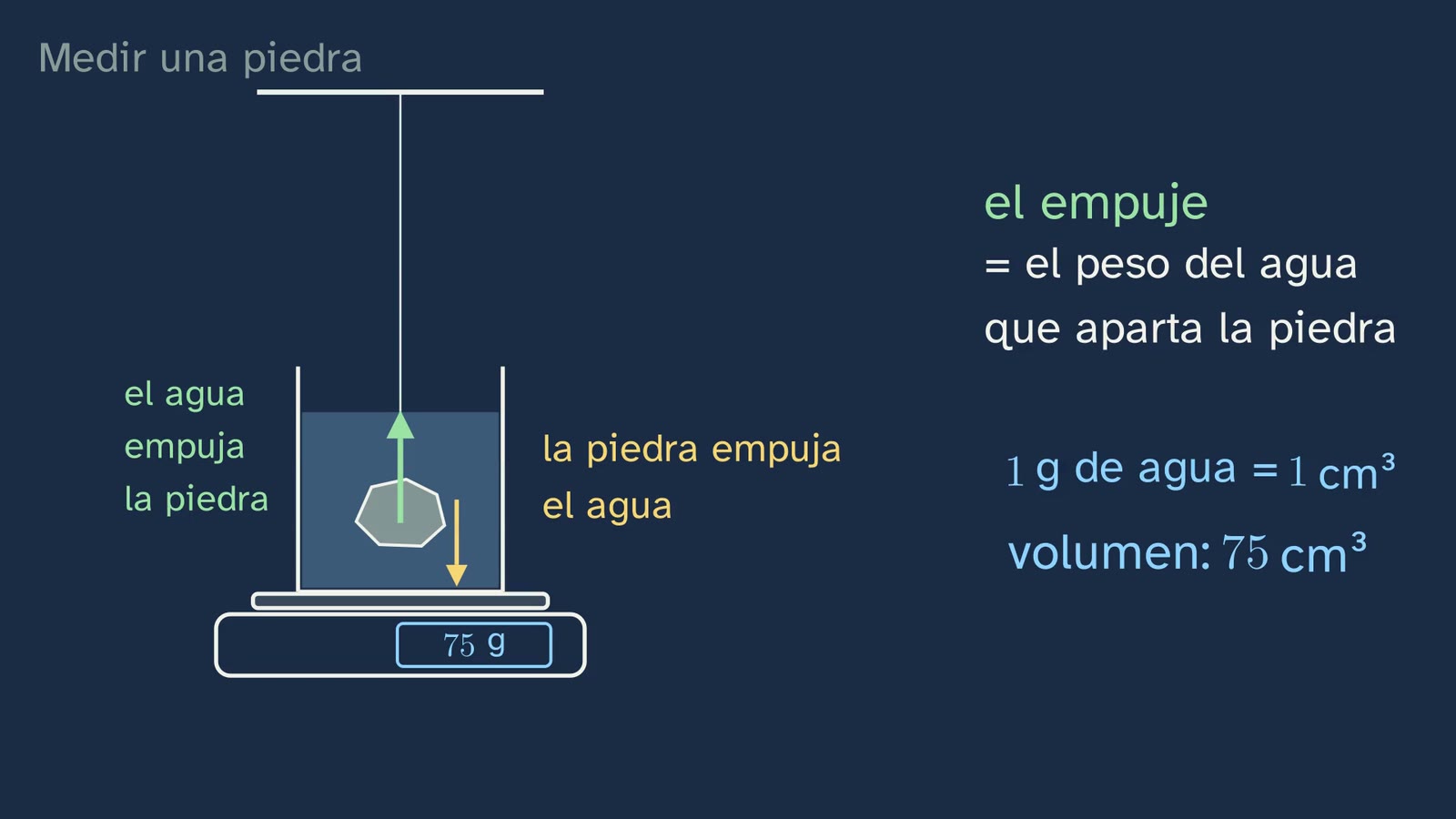 Why the scale shows the volume: the stone pushes the water down with the same force with which the water pushes it up.